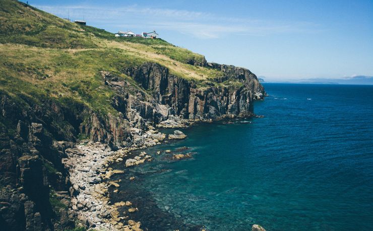 出国移民中介咨询