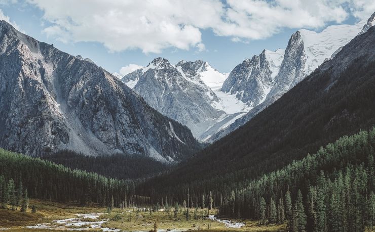 移民马耳他哪家中介好